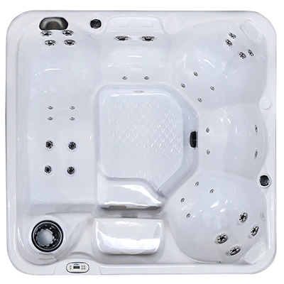 Hawaiian PZ-636L hot tubs for sale in Spooner